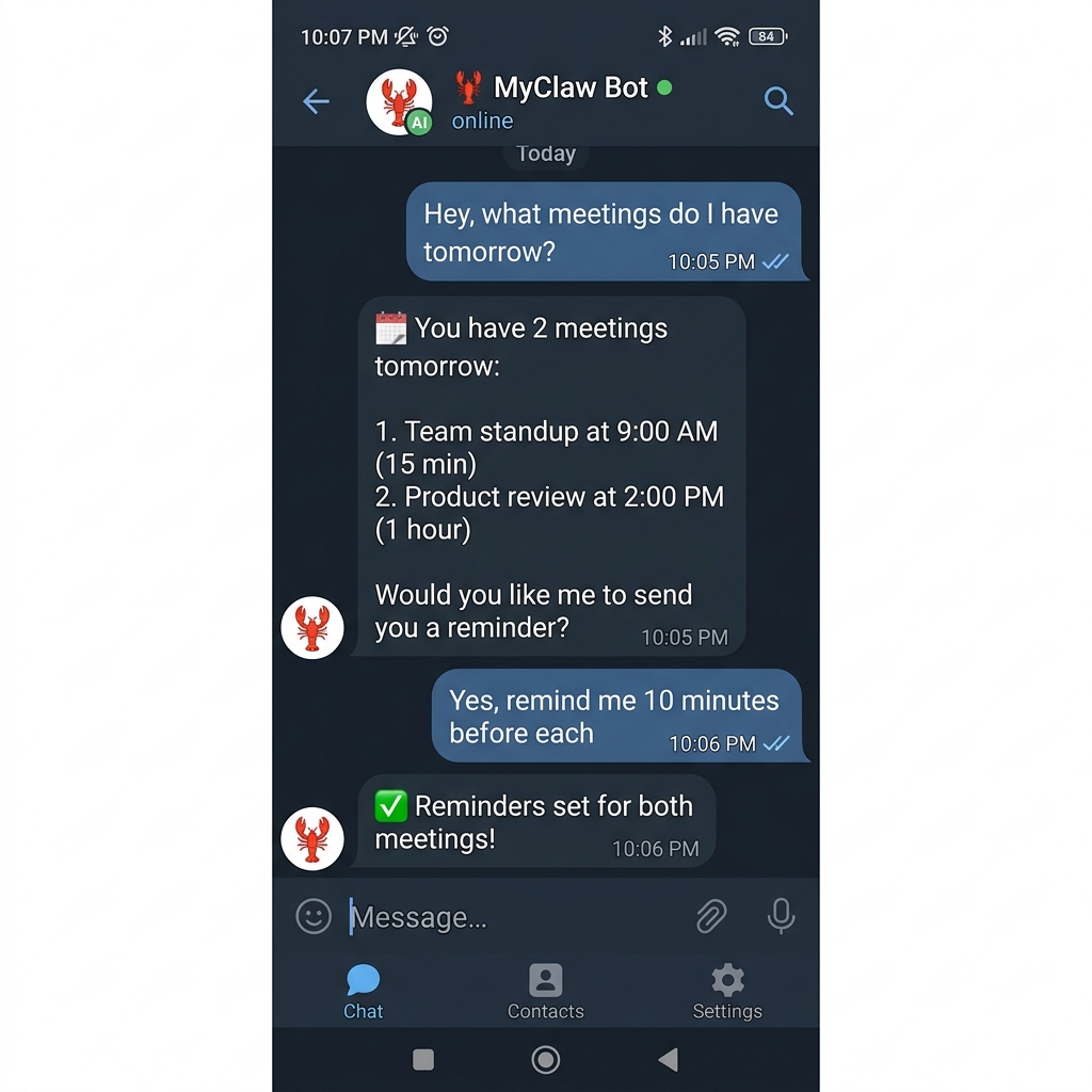 Live conversation with OpenClaw Telegram bot showing meeting reminders being set
